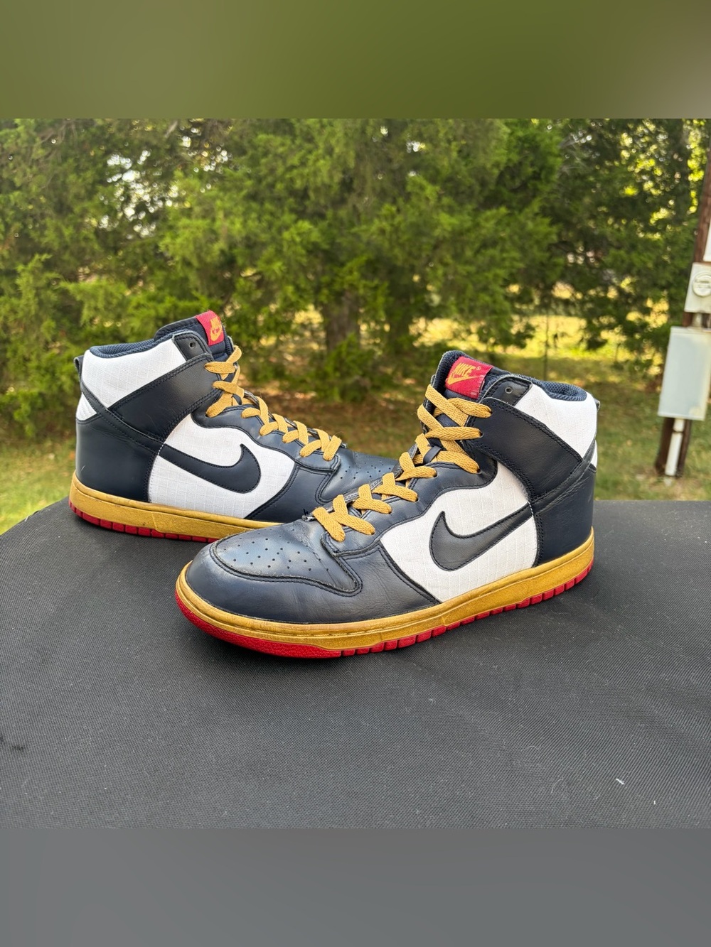 Nike Dunk High 2010 Olympic Winter Games Obsidian Gold 344648-141 Size 10.5